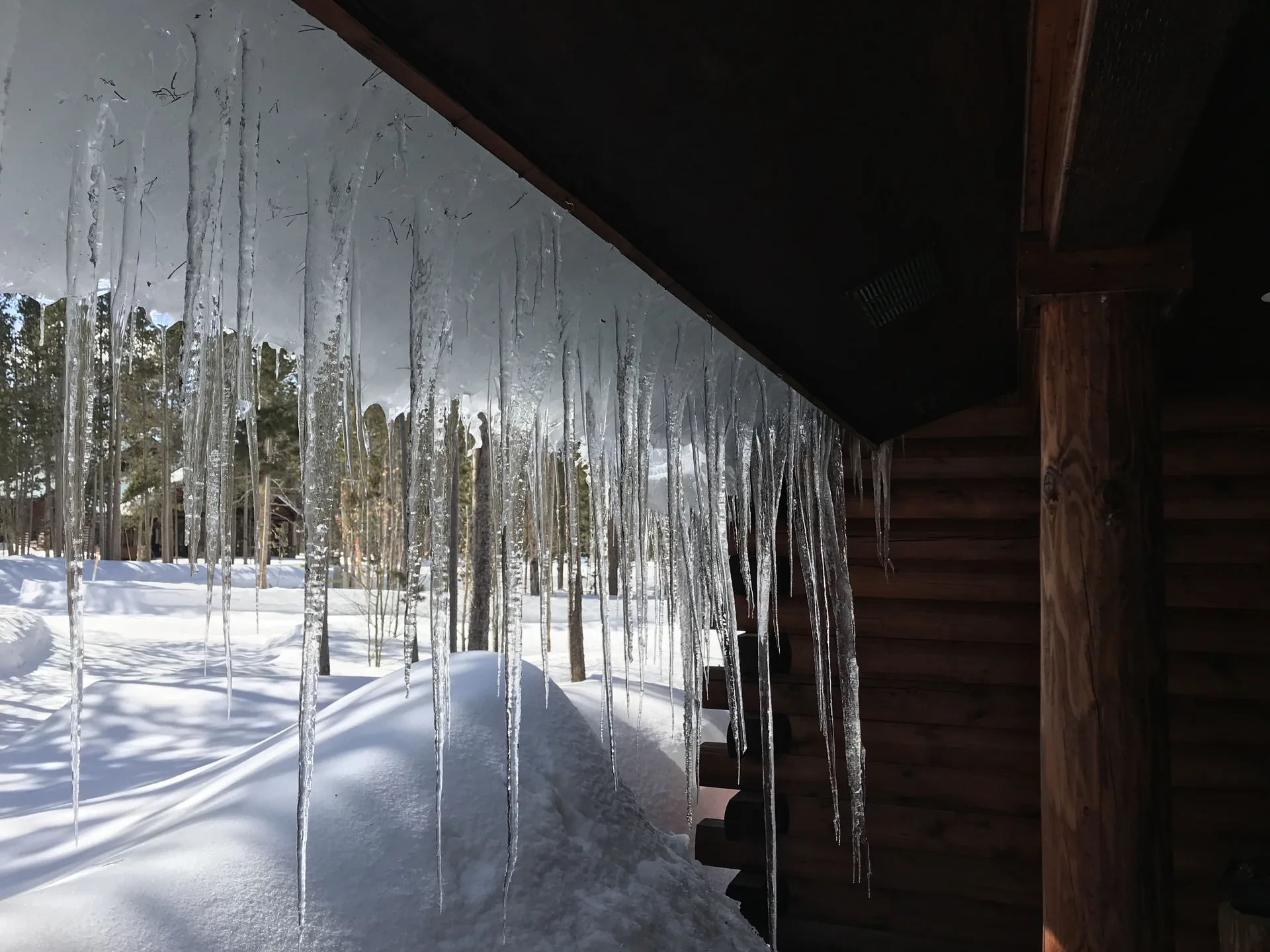 Icicles hanging from the porch roof over a snowy forest