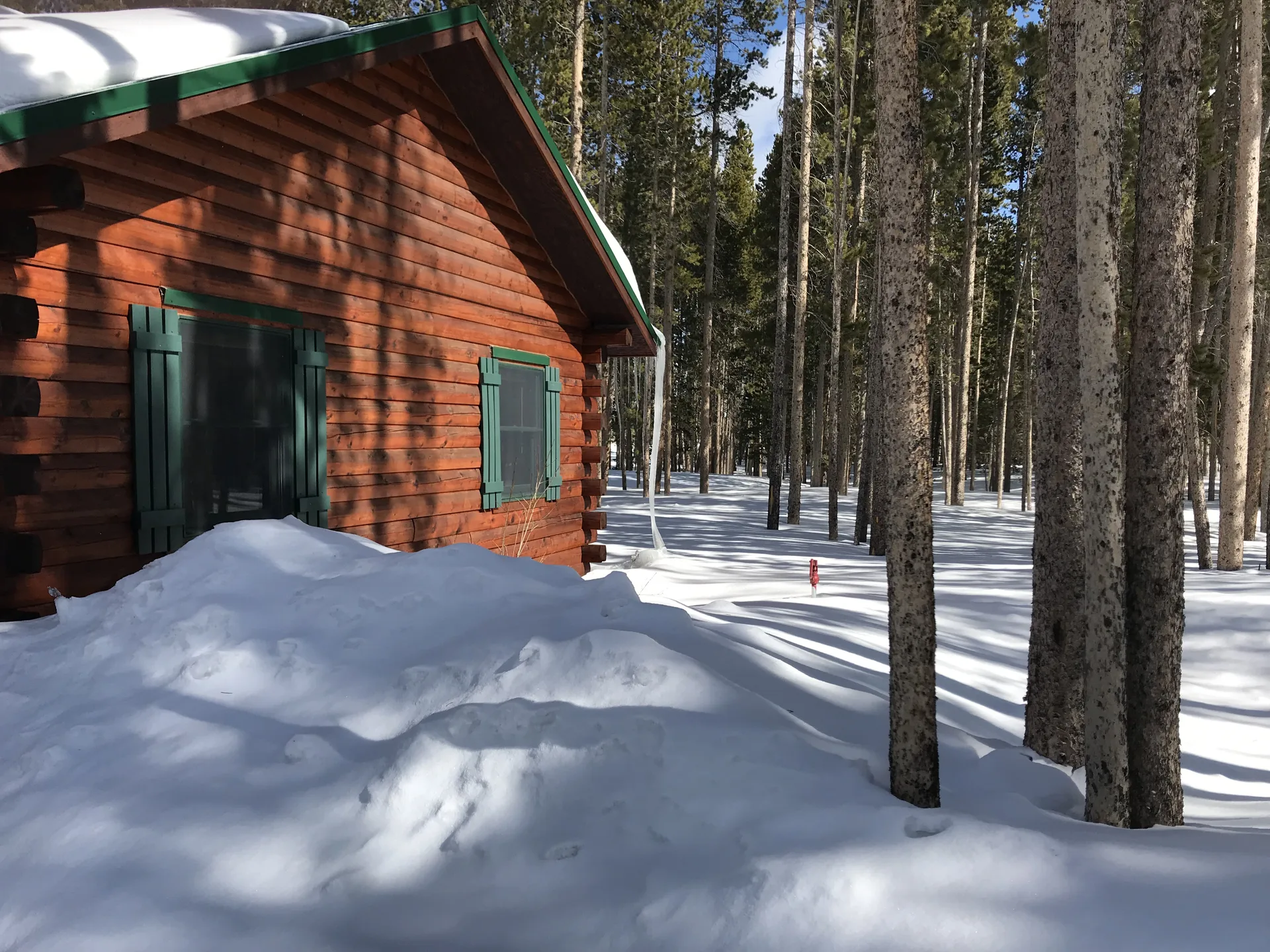 Log cabin corner in deep snow among the pines